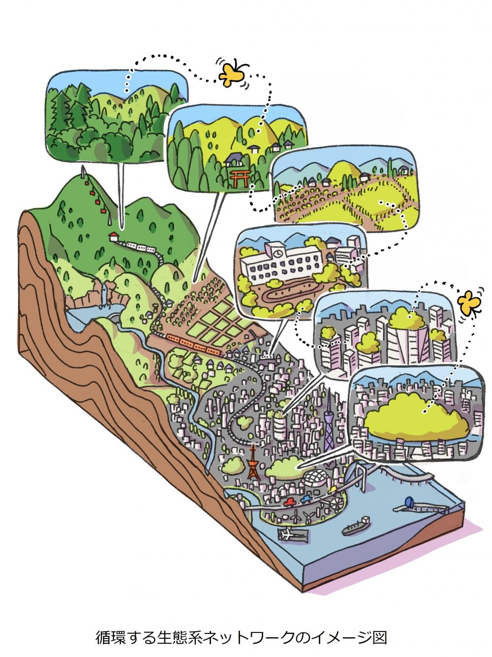 循環する生態系ネットワークのイメージ図